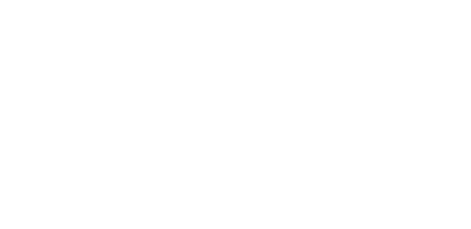 BRIG